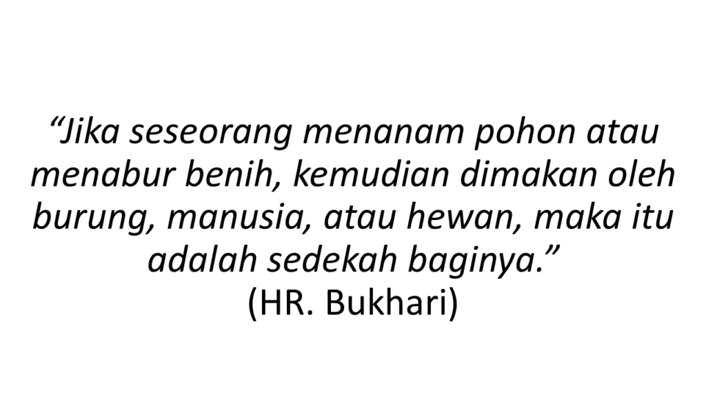 hadits menanam
