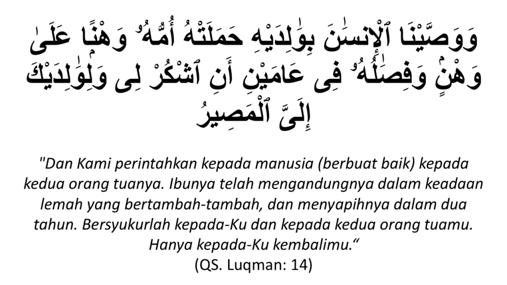 LUQMAN 14
