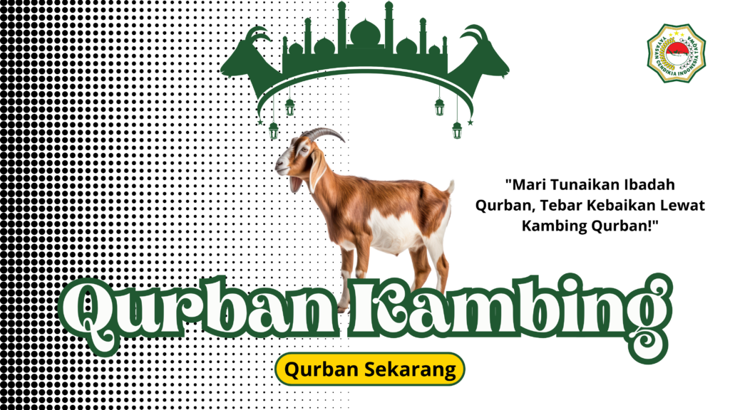 qurban kambing