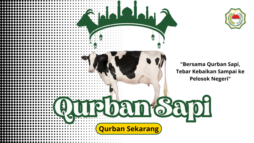 qurban sapi