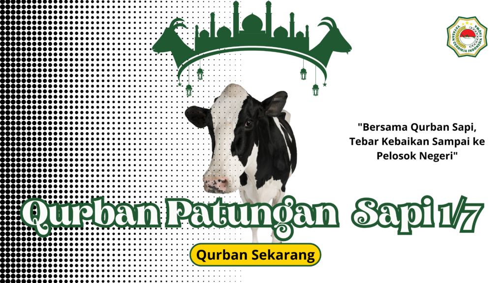 qurban patungan sapi 1/7