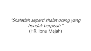 ibnu majah