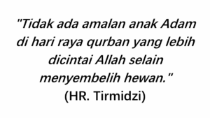 hadits qurban