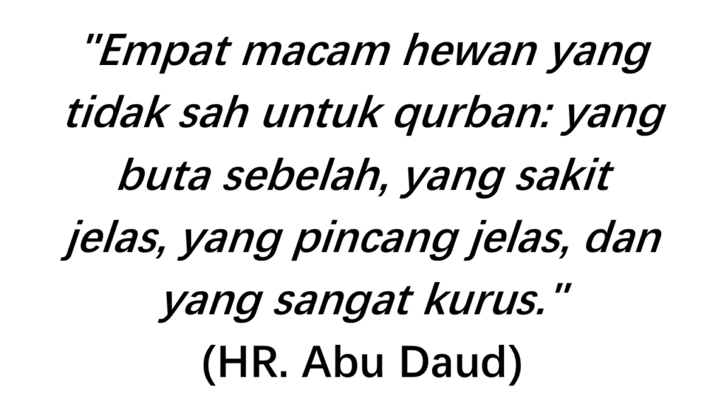 hr daud