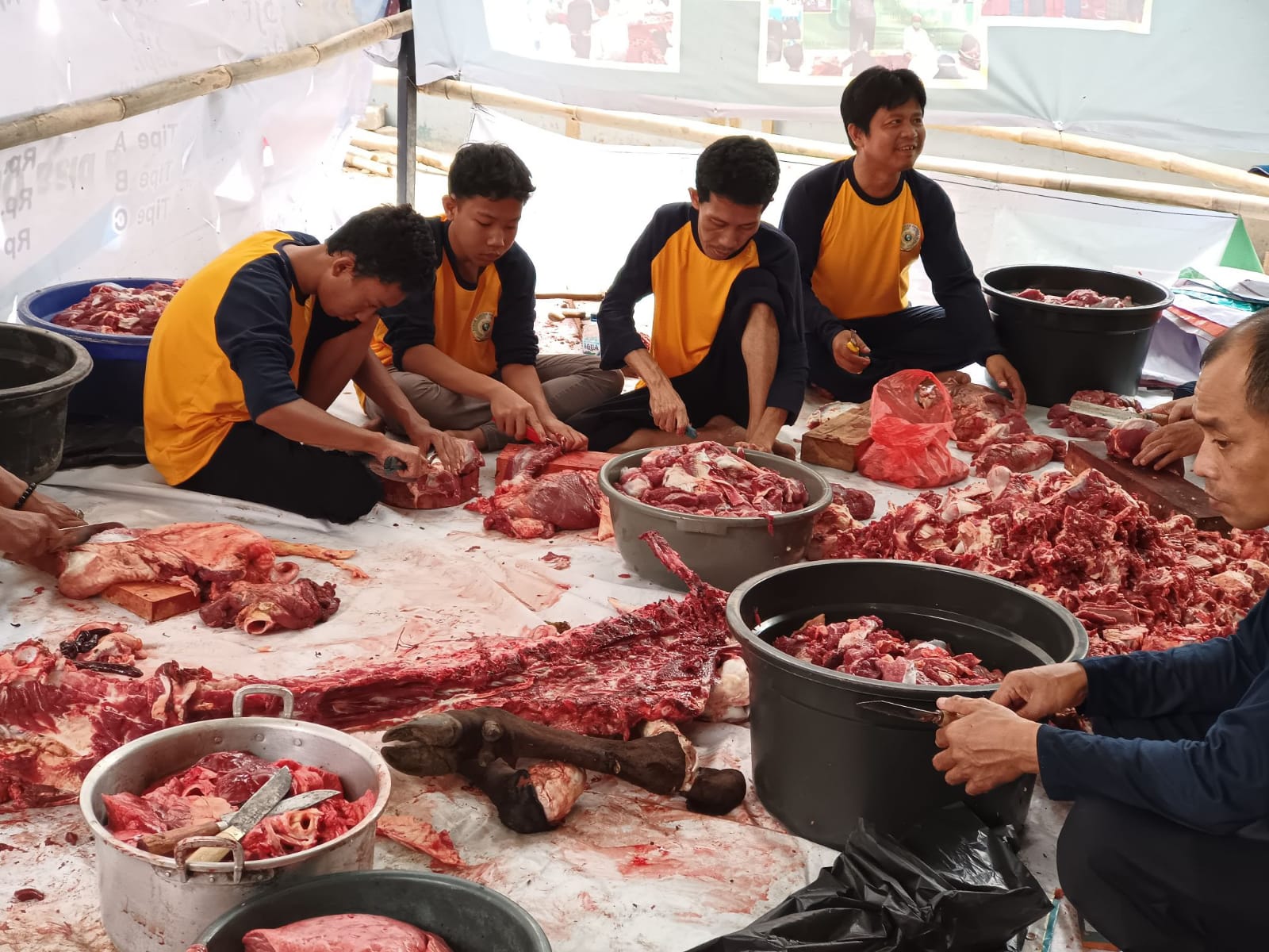 qurban