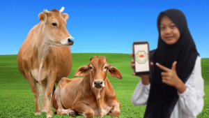 5 Cara Mudah untuk Shodaqoh Rutin Tanpa Harus Ribet