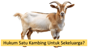 Hukum Satu Kambing untuk Satu Keluarga
