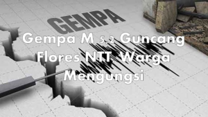 Gempa M 5,2 Guncang Flores NTT, Warga Mengungsi