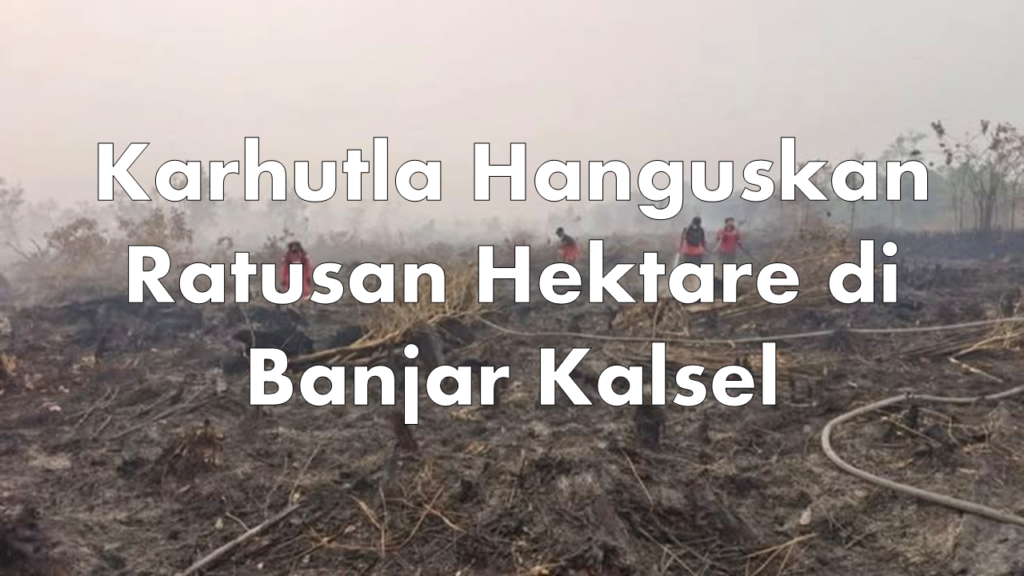 Karhutla Hanguskan Ratusan Hektare di Banjar Kalsel